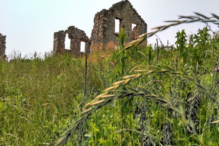 Cross Plains, Wisconsin Homes for Sale & Real Estate