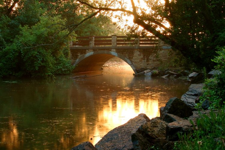 Madison, WI Homes for Sale | Madison Realtors